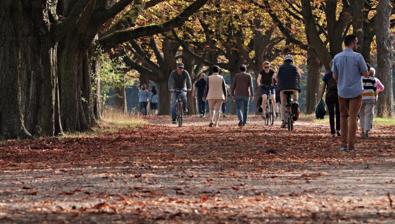 Camino de un parque en otoño con hojas en el suelo y varias personas paseando y dos yendo en bicicleta