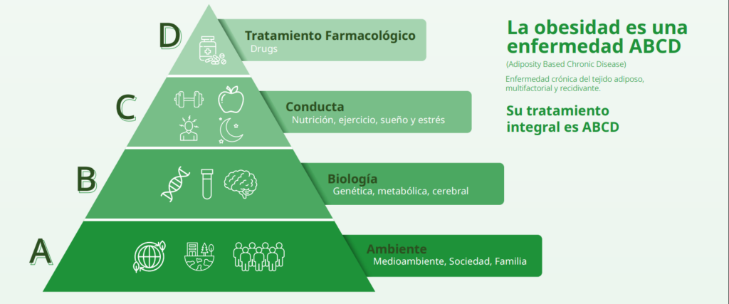 Infografía del porgrama Seedo Contigo para abordar la obesidad de una forma integral.