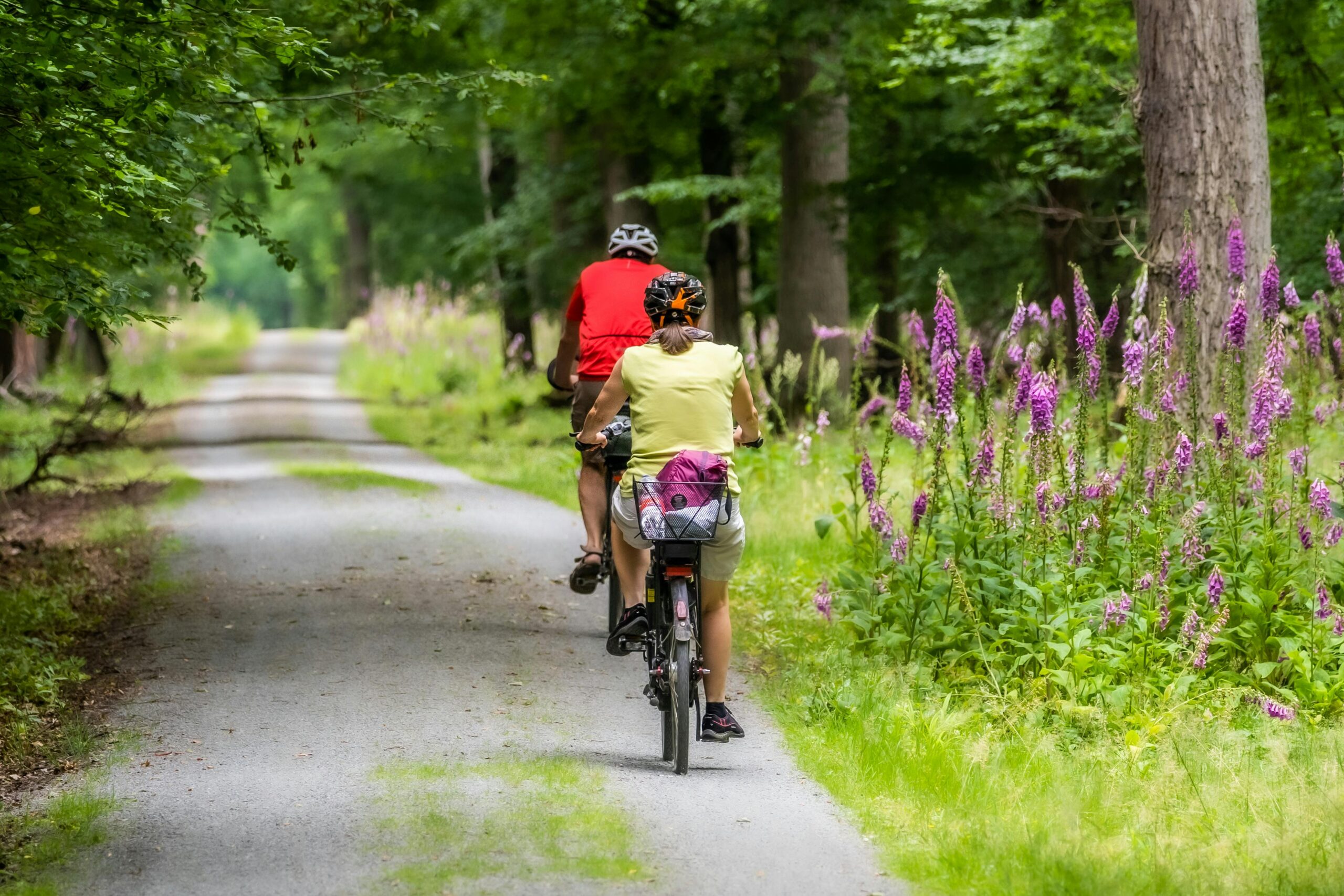 Dos personas en bicicleta por un camino